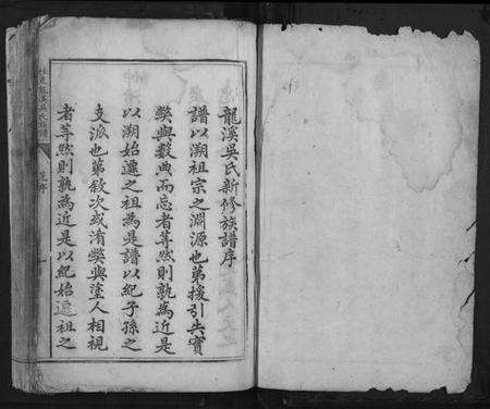 湖南吴氏族谱-桂东龙溪吴氏族谱[不分卷].pdf电子版预览图1