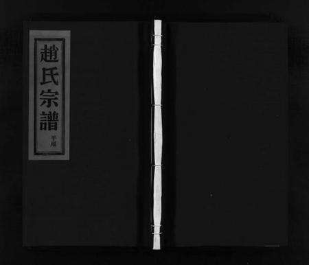 浙江赵氏族谱-赵氏宗谱 [不分卷].pdf电子版预览图1