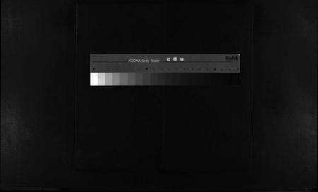 浙江杨氏族谱-跳头杨氏宗谱 [不分卷].pdf电子版缩略图