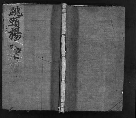 浙江杨氏族谱-跳头杨氏宗谱 [不分卷].pdf电子版预览图1