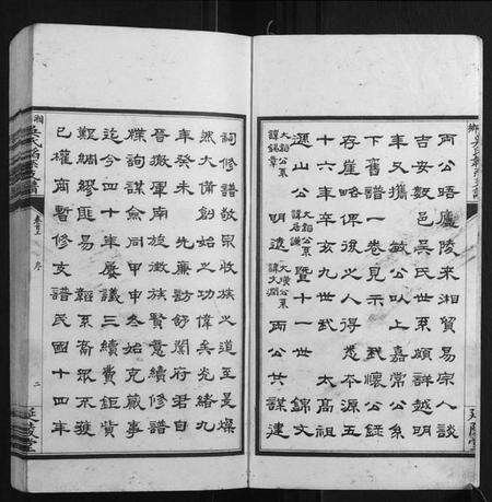 湖南吴氏族谱-湘乡吴氏韬系支谱[10卷首2卷].pdf电子版预览图3