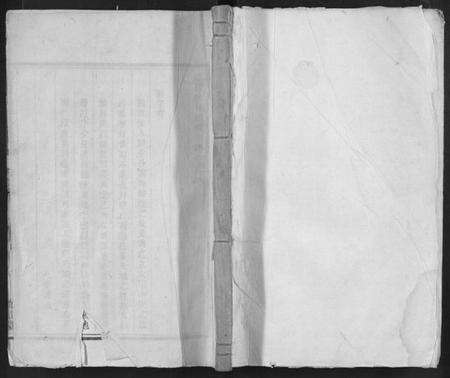 浙江项氏族谱-遂阳叶林项氏宗谱.pdf电子版缩略图