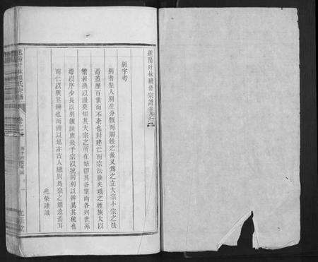 浙江项氏族谱-遂阳叶林项氏宗谱.pdf电子版预览图1