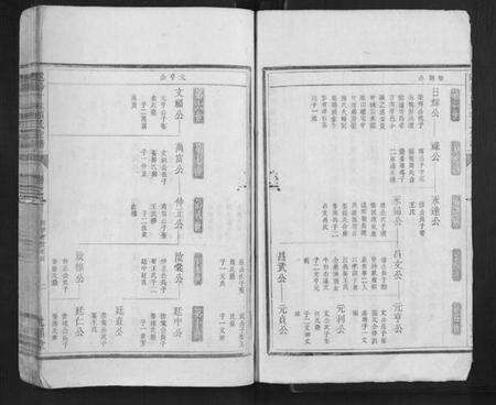 浙江项氏族谱-遂阳叶林项氏宗谱.pdf电子版预览图2