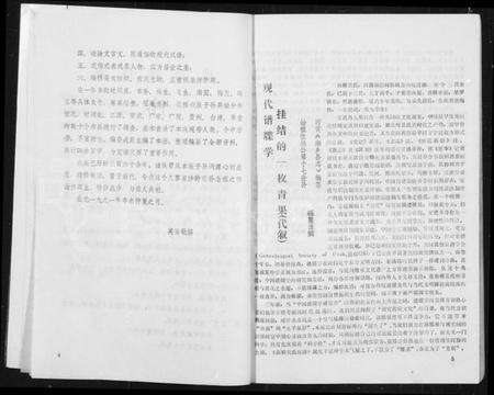 湖南吴氏族谱-新桥吴氏族谱.pdf电子版预览图5