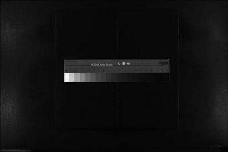 浙江邵氏族谱-邵氏宗谱 [不分卷].pdf电子版缩略图