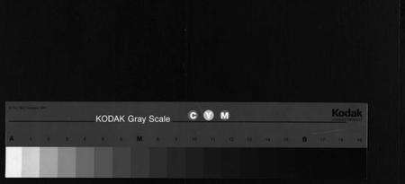 浙江郎氏族谱-郎氏宗谱 [12卷].pdf电子版