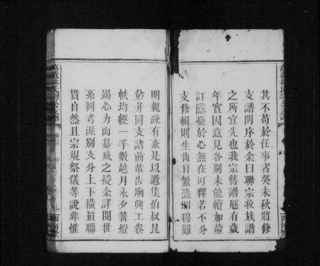 江西林氏族谱-万载林氏肇高公支谱 [3卷,首1卷].pdf电子版预览图4