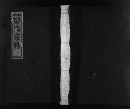 浙江郑氏族谱-郑氏宗谱 [不分卷].pdf电子版预览图1