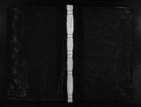 浙江郑氏族谱-郑氏宗谱 [不分卷].pdf电子版预览图1