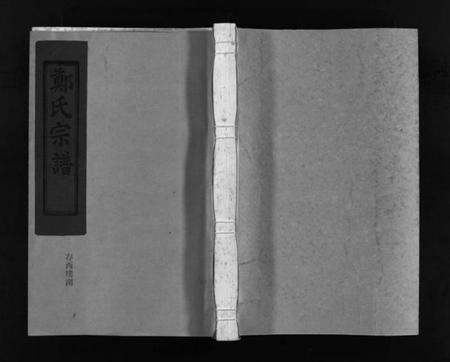 浙江郑氏族谱-郑氏宗谱 [不分卷].pdf电子版预览图1