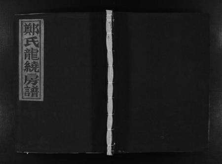 浙江郑氏族谱-郑氏龙绕房谱 [不分卷].pdf电子版预览图1