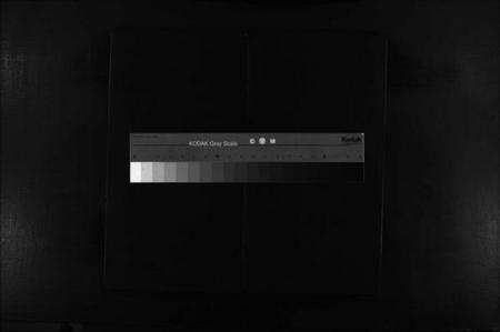 浙江黄氏族谱-邺川黄氏宗谱 [不分卷].pdf电子版缩略图