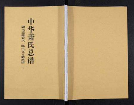 湖南萧氏族谱-中华萧氏总谱汉一郎青烟族谱[3卷].pdf电子版缩略图