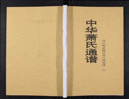 湖南萧氏族谱-中华萧氏通谱[3卷].pdf电子版缩略图