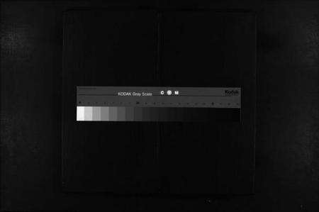 浙江唐氏族谱-重修兰江东鲁唐氏族谱.pdf电子版缩略图