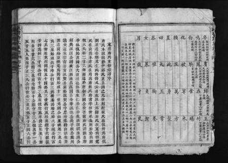 浙江唐氏族谱-重修兰江东鲁唐氏族谱.pdf电子版预览图4