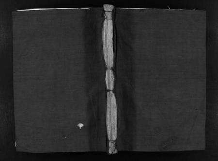 浙江陈氏族谱-重修陈氏宗谱 [不分卷].pdf电子版预览图1