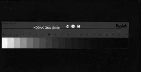 浙江金氏族谱-金氏宗谱 [28卷,首3卷].pdf电子版缩略图