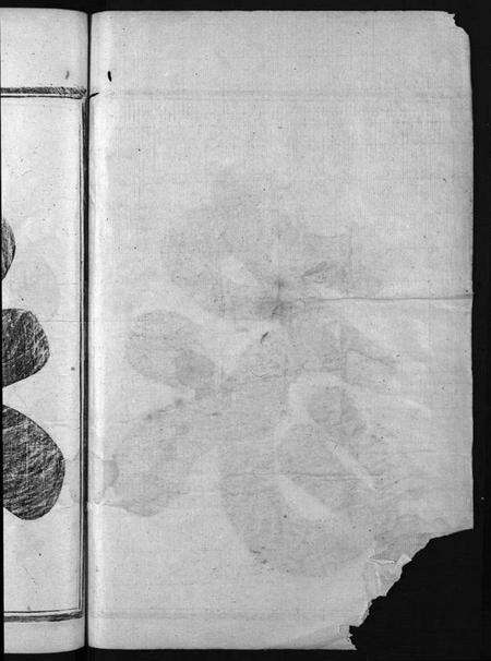 浙江金氏族谱-金氏宗谱 [3卷].pdf电子版预览图2