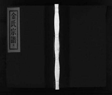 浙江金氏族谱-金氏宗谱 [6卷].pdf电子版预览图1