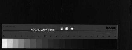 浙江金氏族谱-金氏宗谱 [不分卷].pdf电子版缩略图