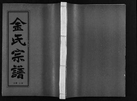 浙江金氏族谱-金氏宗谱 [不分卷].pdf电子版预览图1