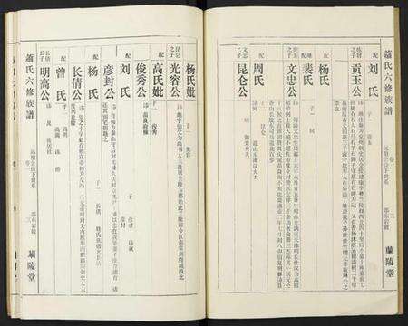 湖南萧氏族谱-萧氏六修族谱.pdf电子版预览图3