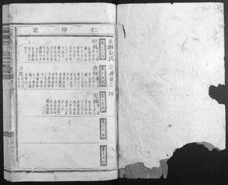 浙江金氏族谱-金华藕湖金氏宗谱.pdf电子版预览图1