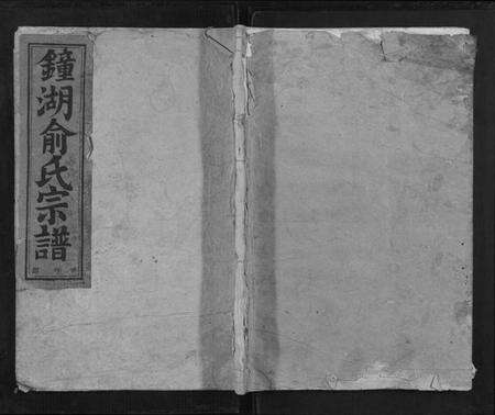 浙江俞氏族谱-金华钟湖俞氏宗谱[4卷].pdf电子版缩略图