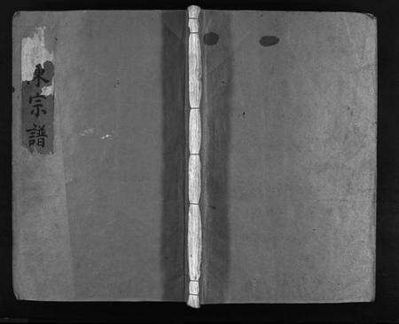 浙江金氏族谱-金陈宗谱 [不分卷].pdf电子版预览图1