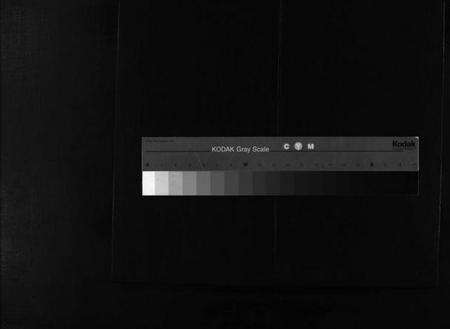 浙江金氏族谱-金陈宗谱 [不分卷].pdf电子版缩略图