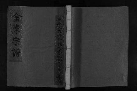 浙江金氏族谱-金陈宗谱 [不分卷].pdf电子版预览图1