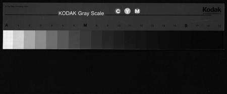 浙江钱氏族谱-铜川钱氏宗谱 [残卷].pdf电子版缩略图