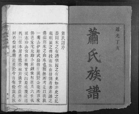 湖南萧氏族谱-萧氏续修族谱[不分卷].pdf电子版预览图1