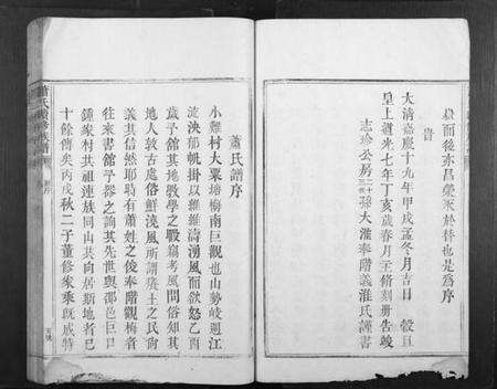 湖南萧氏族谱-萧氏续修族谱[不分卷].pdf电子版预览图5