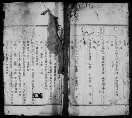 浙江杨氏族谱-锺川杨氏宗谱 [残卷].pdf电子版预览图1