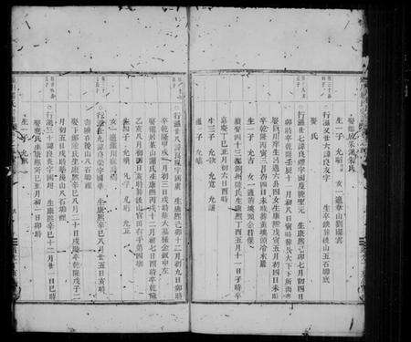 浙江杨氏族谱-锺川杨氏宗谱 [残卷].pdf电子版预览图5