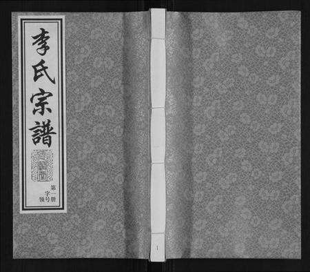 江苏李氏族谱-李氏宗谱.pdf电子版缩略图