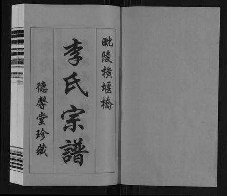 江苏李氏族谱-李氏宗谱.pdf电子版预览图1