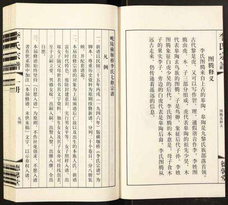 江苏李氏族谱-李氏宗谱.pdf电子版预览图4