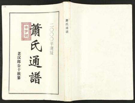 湖南萧氏族谱-萧氏通谱 [全1卷].pdf电子版缩略图