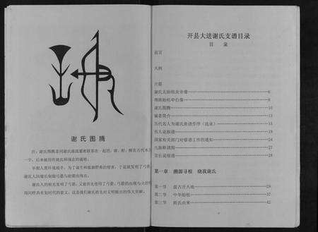湖南谢氏族谱-北斗坪大进镇梓潼谢氏支谱.pdf电子版预览图5