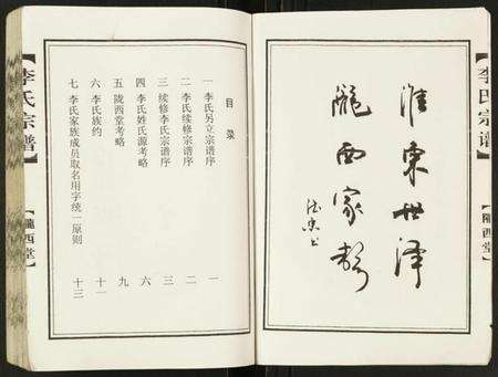 江苏李氏族谱-李氏宗谱鸿书支脉.pdf电子版预览图2