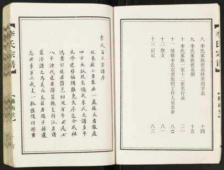 江苏李氏族谱-李氏宗谱鸿书支脉.pdf电子版预览图3