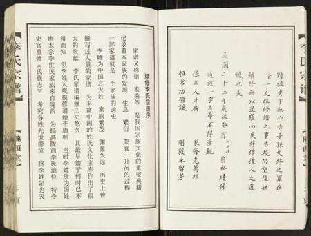 江苏李氏族谱-李氏宗谱鸿书支脉.pdf电子版预览图5