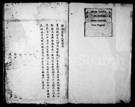 浙江黄氏族谱-镬炉黄氏宗谱支图.pdf电子版预览图2