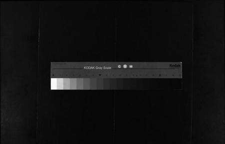 浙江缪氏族谱-长垟缪氏宗谱 [1卷].pdf电子版缩略图