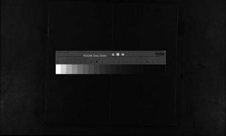 浙江缪氏族谱-长垟缪氏宗谱 [3卷].pdf电子版缩略图