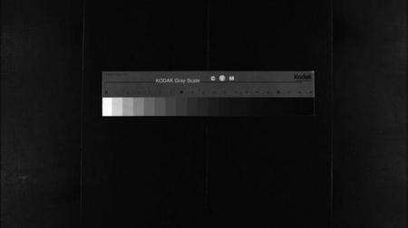 浙江李氏族谱-长山李氏宗谱 [残卷].pdf电子版缩略图